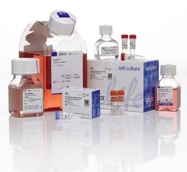 1544884517132675.jpg 1543374795914916.jpg